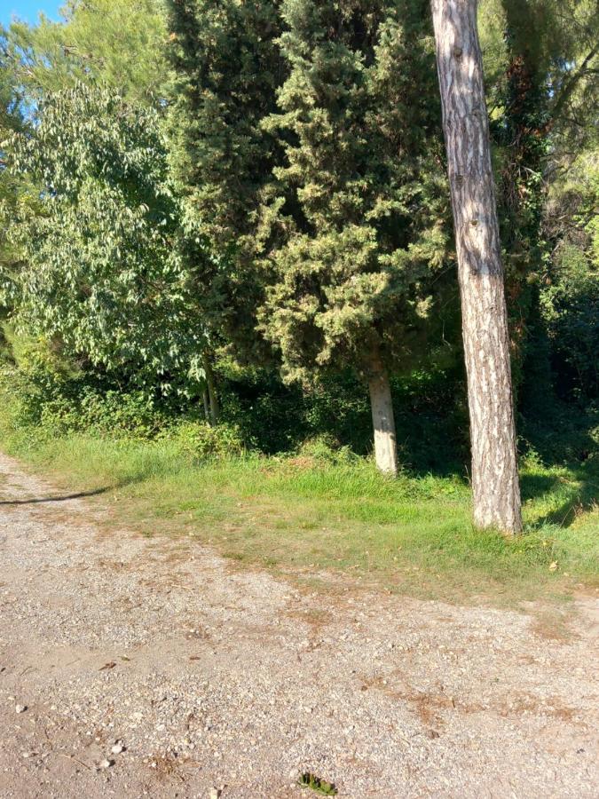 Apartmani Alma PUY Eksteriør bilde