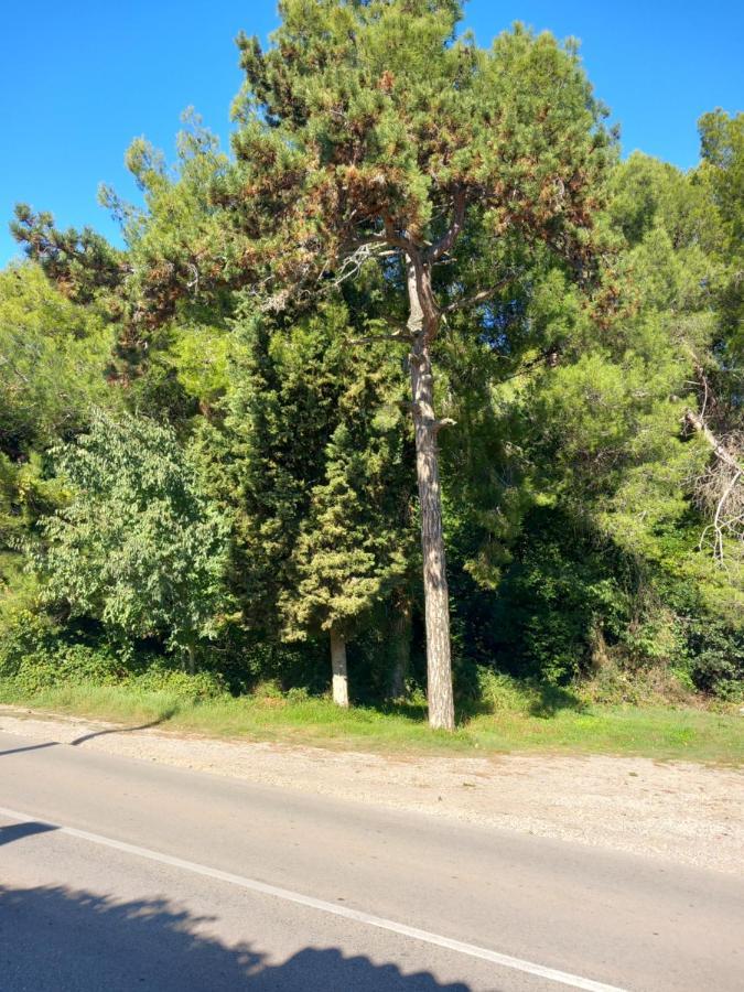 Apartmani Alma PUY Eksteriør bilde